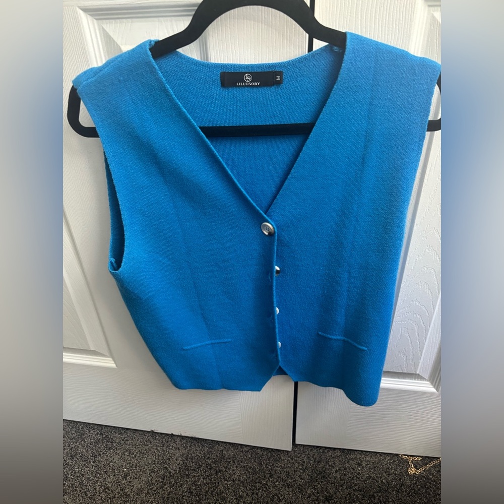 Blue Sleeveless Knit Vest